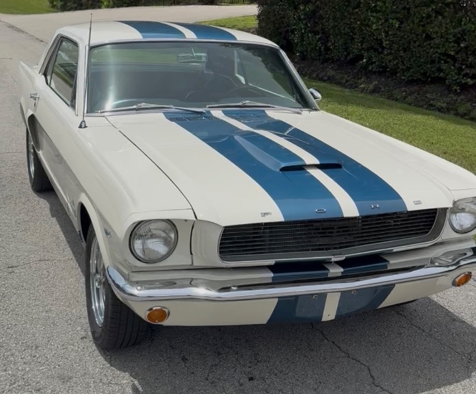 Used 1966 Ford Mustang GT 350 for sale $31,500 at Cool Cars For Sale in Pompano Beach FL